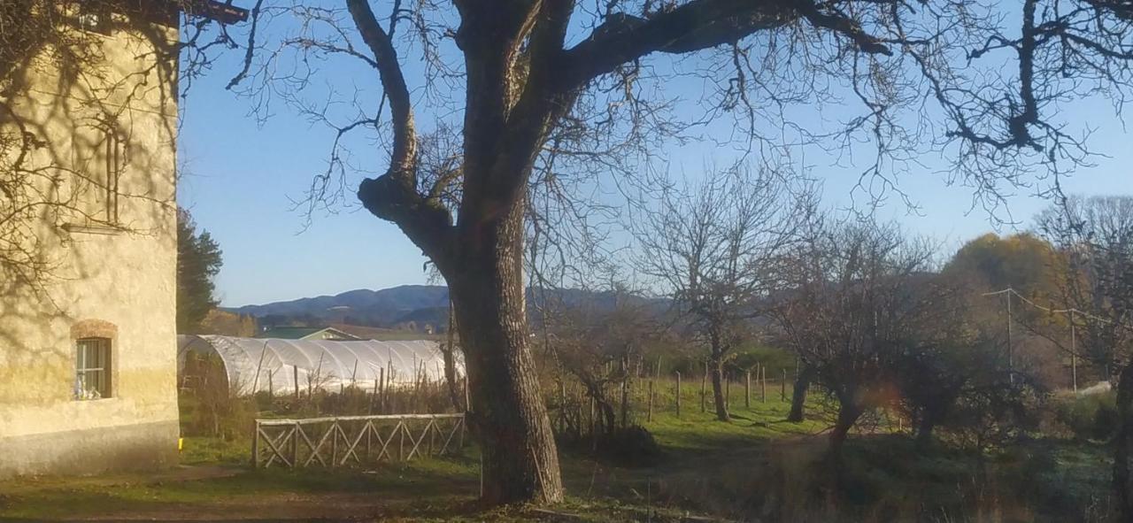 Agriresort Tenuta Ranieri Farm stay *