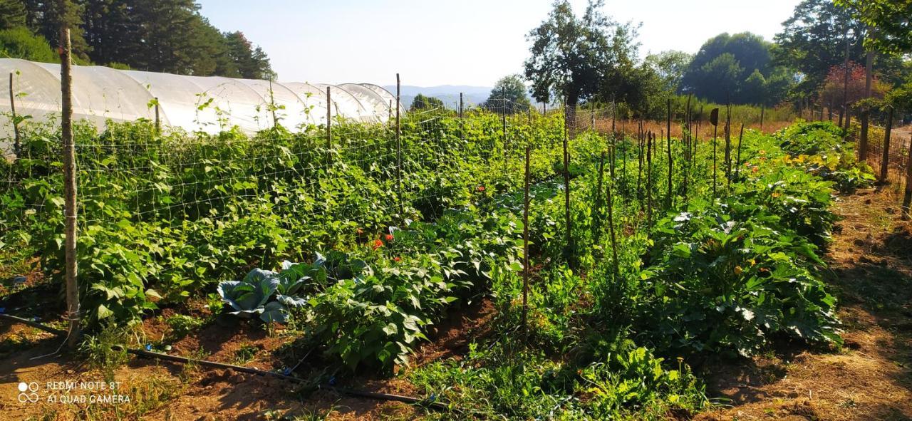 Agriresort Tenuta Ranieri Farm stay